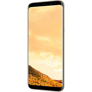 Фото товара Samsung Galaxy S8 Plus (64Gb, gold)