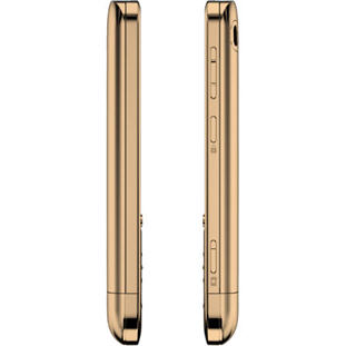 ��������� �������  Nokia C3-01.5 Touch and Type (Gold)