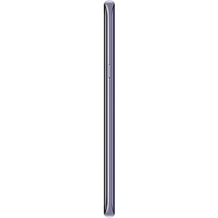Фото товара Samsung Galaxy S8 Plus (64Gb, orchid gray)