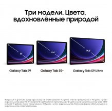 Фото товара Samsung Galaxy Tab S9 Ultra 5G 512Gb (Графит)